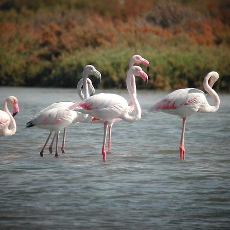 Alojamiento Rural Coto De La Isleta El Puerto de Santa María Exteriér fotografie