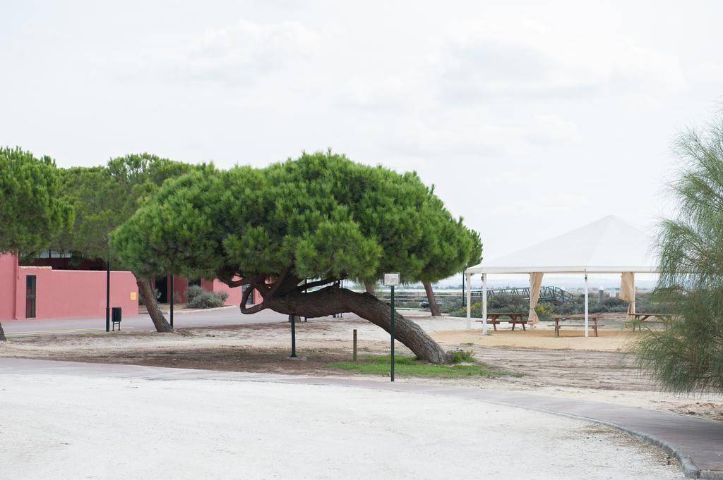 Alojamiento Rural Coto De La Isleta El Puerto de Santa María Exteriér fotografie