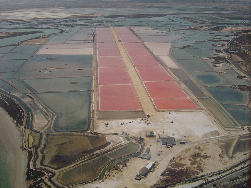 Alojamiento Rural Coto De La Isleta El Puerto de Santa María Exteriér fotografie