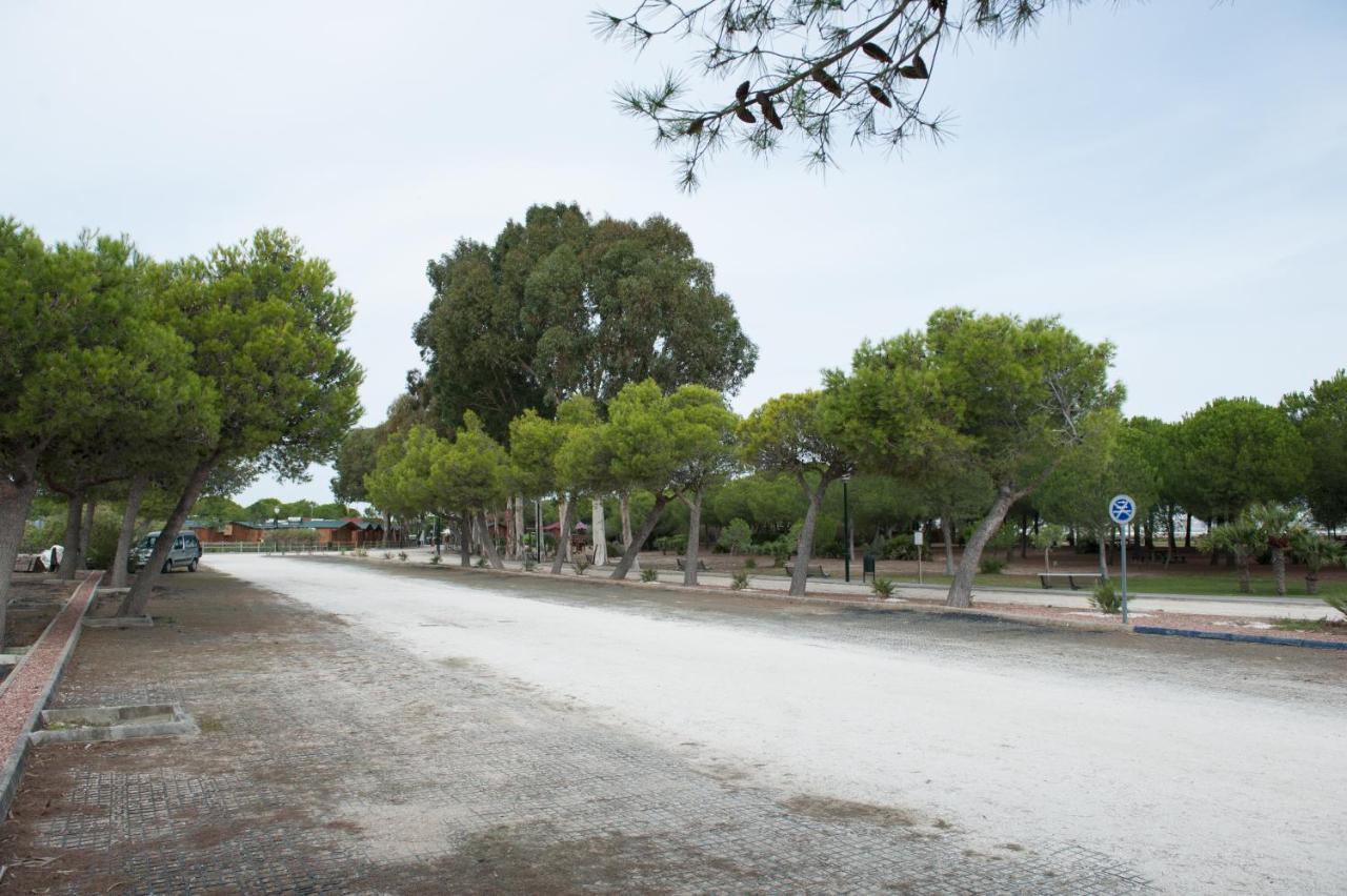 Alojamiento Rural Coto De La Isleta El Puerto de Santa María Exteriér fotografie