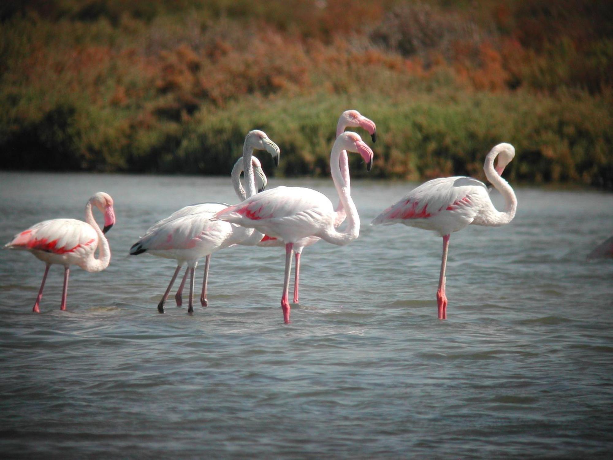 Alojamiento Rural Coto De La Isleta El Puerto de Santa María Exteriér fotografie